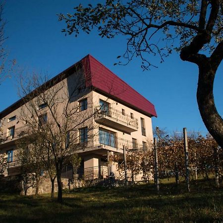 Panoramic Hotel Бая-Сприе Екстериор снимка