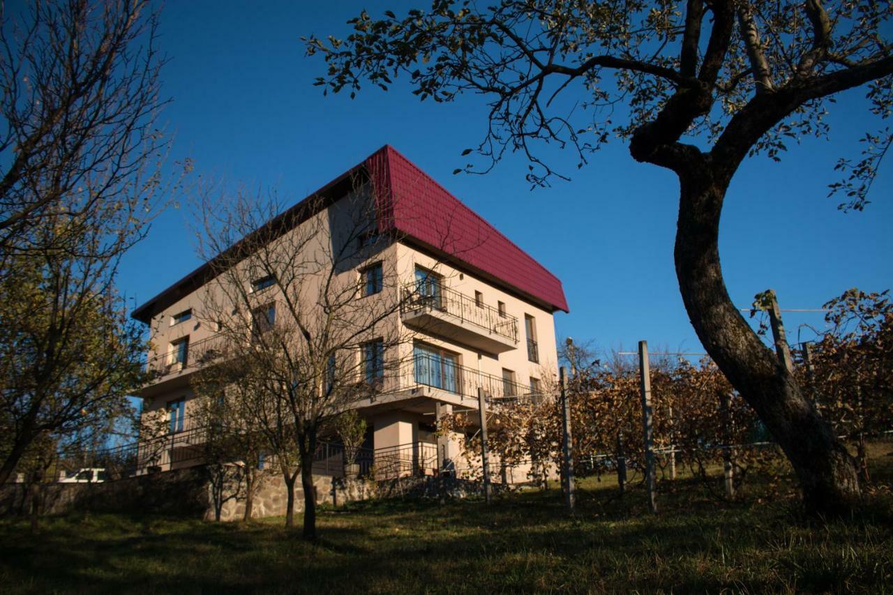 Panoramic Hotel Бая-Сприе Екстериор снимка